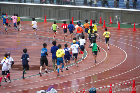 P1100036.jpg