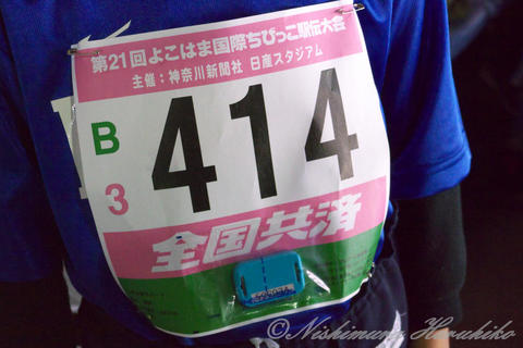 P1100132.jpg