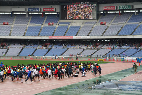 P1100186.jpg