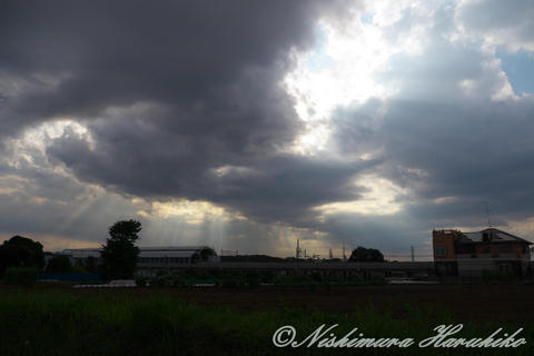 P1100859.jpg