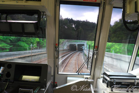 P1100908.jpg
