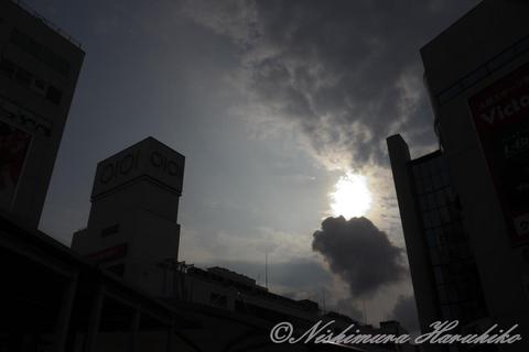 P1110058.jpg