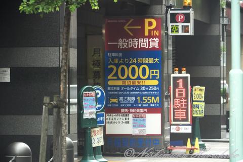 P1110075.jpg