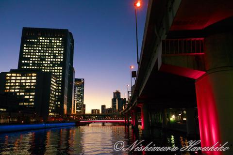 P1120443.jpg