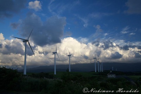 _MG_2951.jpg