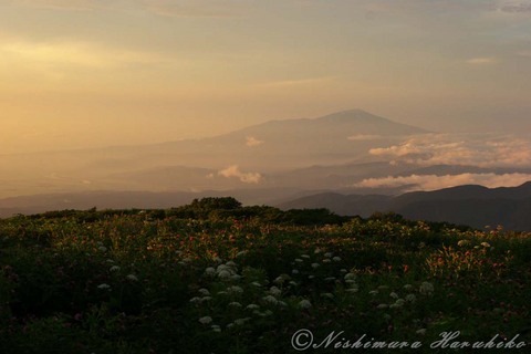 _MG_6597.jpg