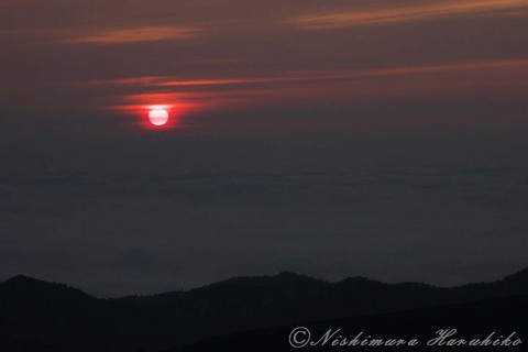 _MG_6656.jpg