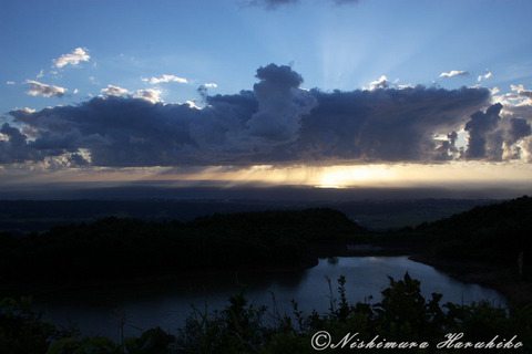 _MG_7584.jpg