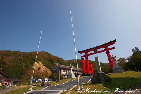 _MG_8057.jpg